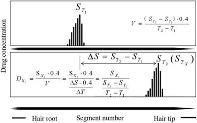 Time course of estazolam in single-strand hair based on micro-segmental analysis after controlled oral administration